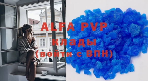 ешки Белокуриха