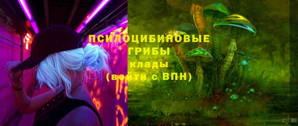 ешки Белокуриха