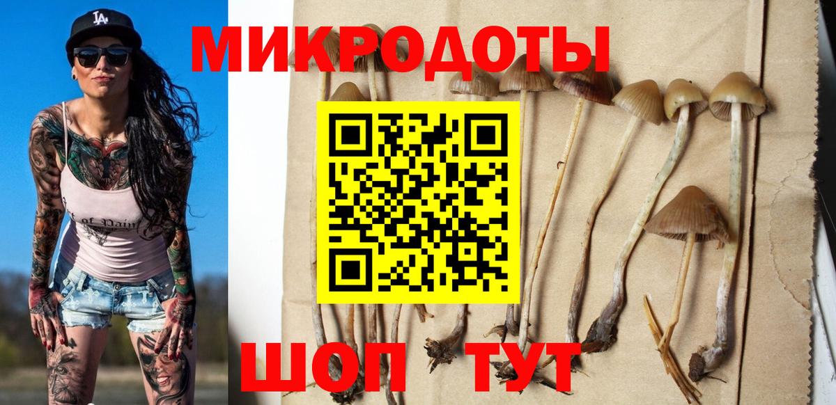 Галлюциногенные грибы MAGIC MUSHROOMS  Вход с VPN  Минеральные Воды  Галлюциногенные грибы MAGIC MUSHROOMS 