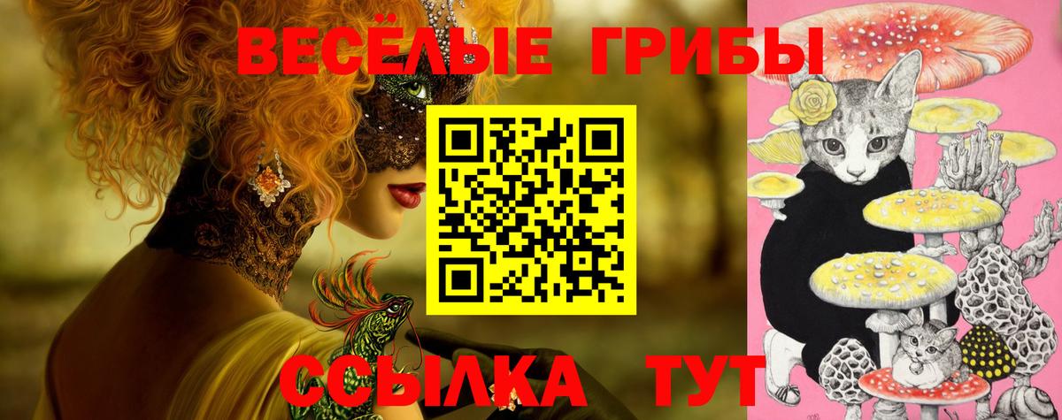 Псилоцибиновые грибы MAGIC MUSHROOMS Минеральные Воды