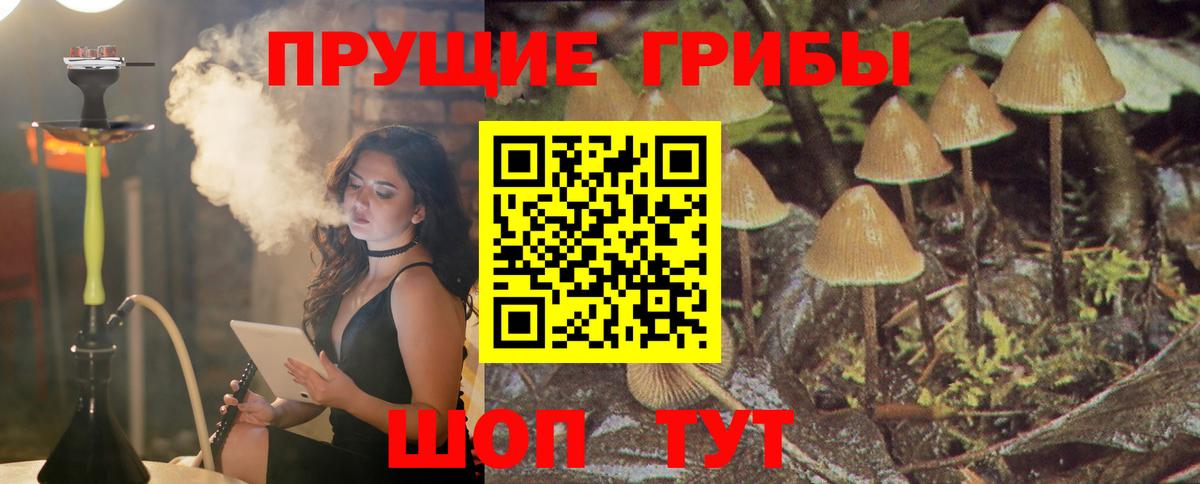 Метадон Минеральные Воды